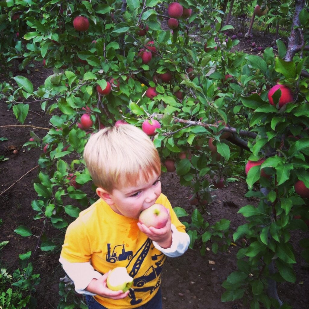 Apple Crisp