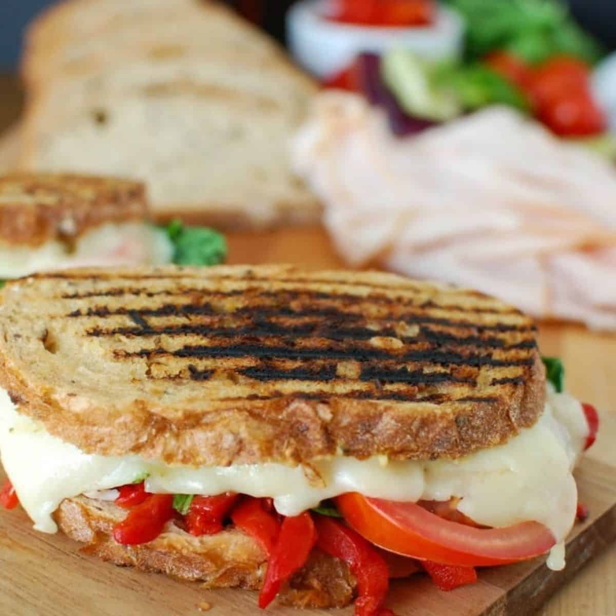 Mediterranean Turkey Hummus Panini