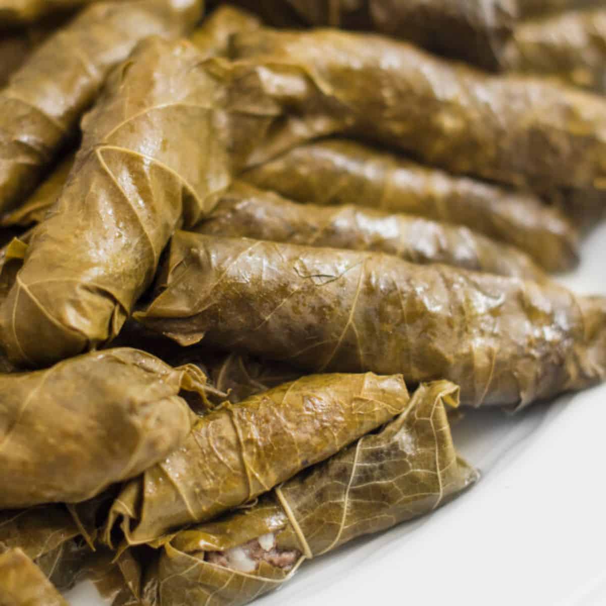 Meat Stuffed Grape Leaves