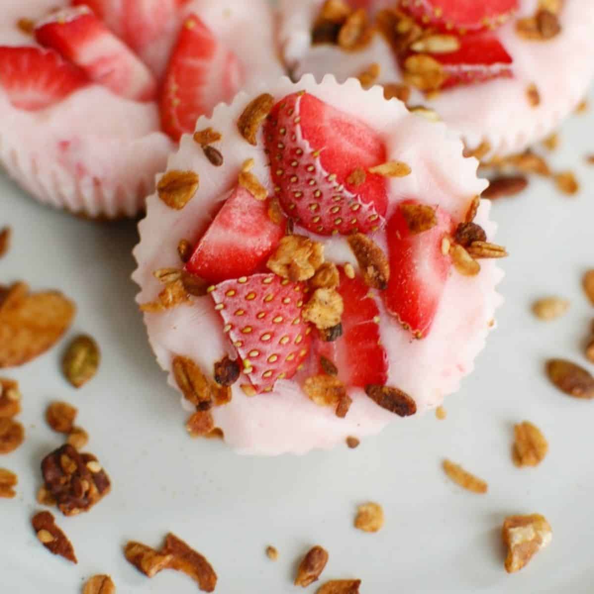 Frozen Yogurt Granola Bites