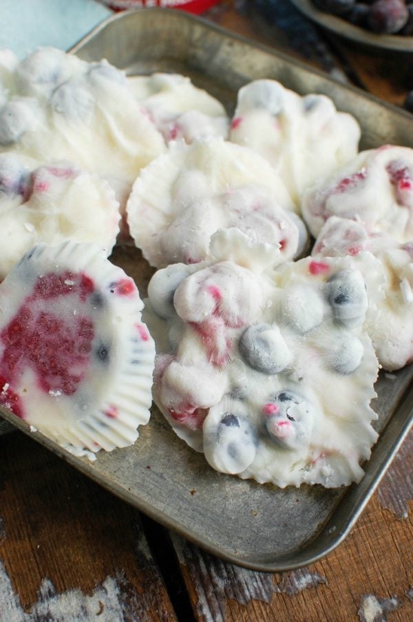 Frozen Greek Yogurt Fruit Bites