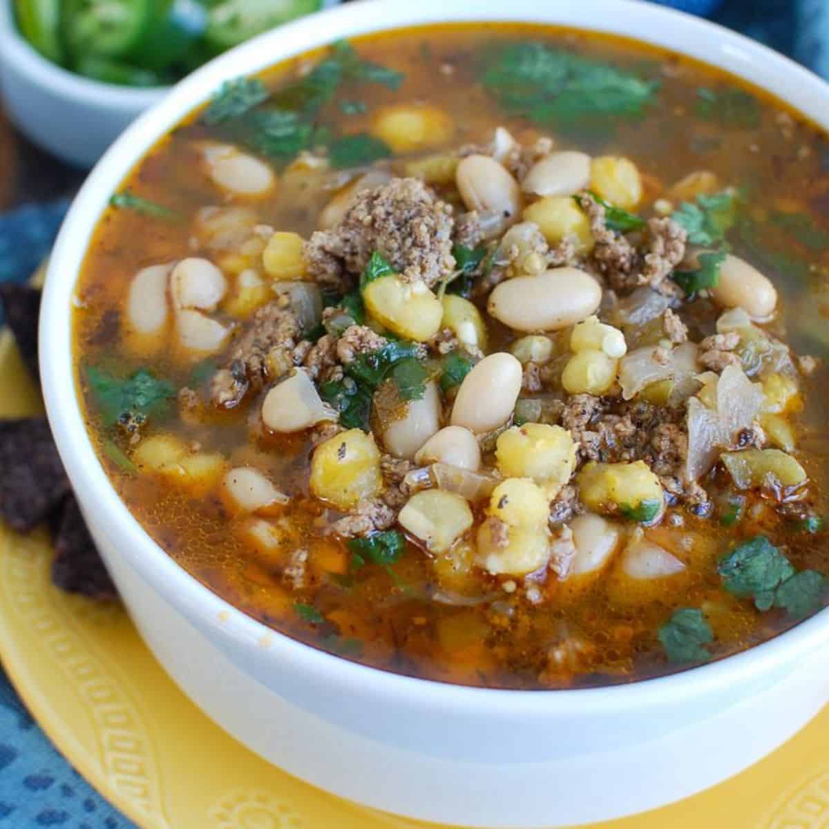 Instant Pot Pork Chili Verde