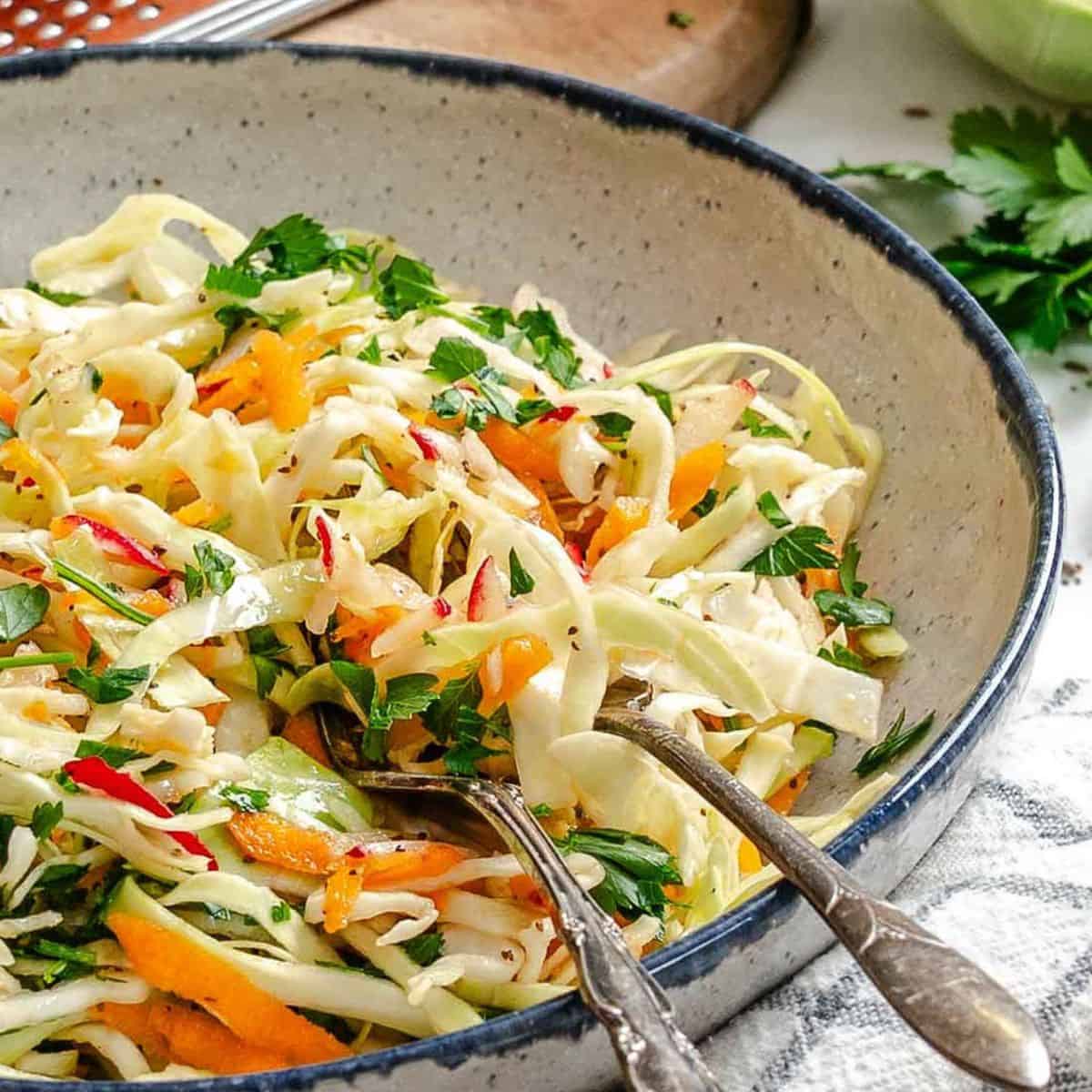 Vinegar Coleslaw Recipe (No Mayo Coleslaw)