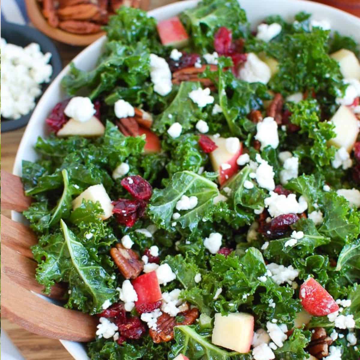 Kale Salad with Cranberries