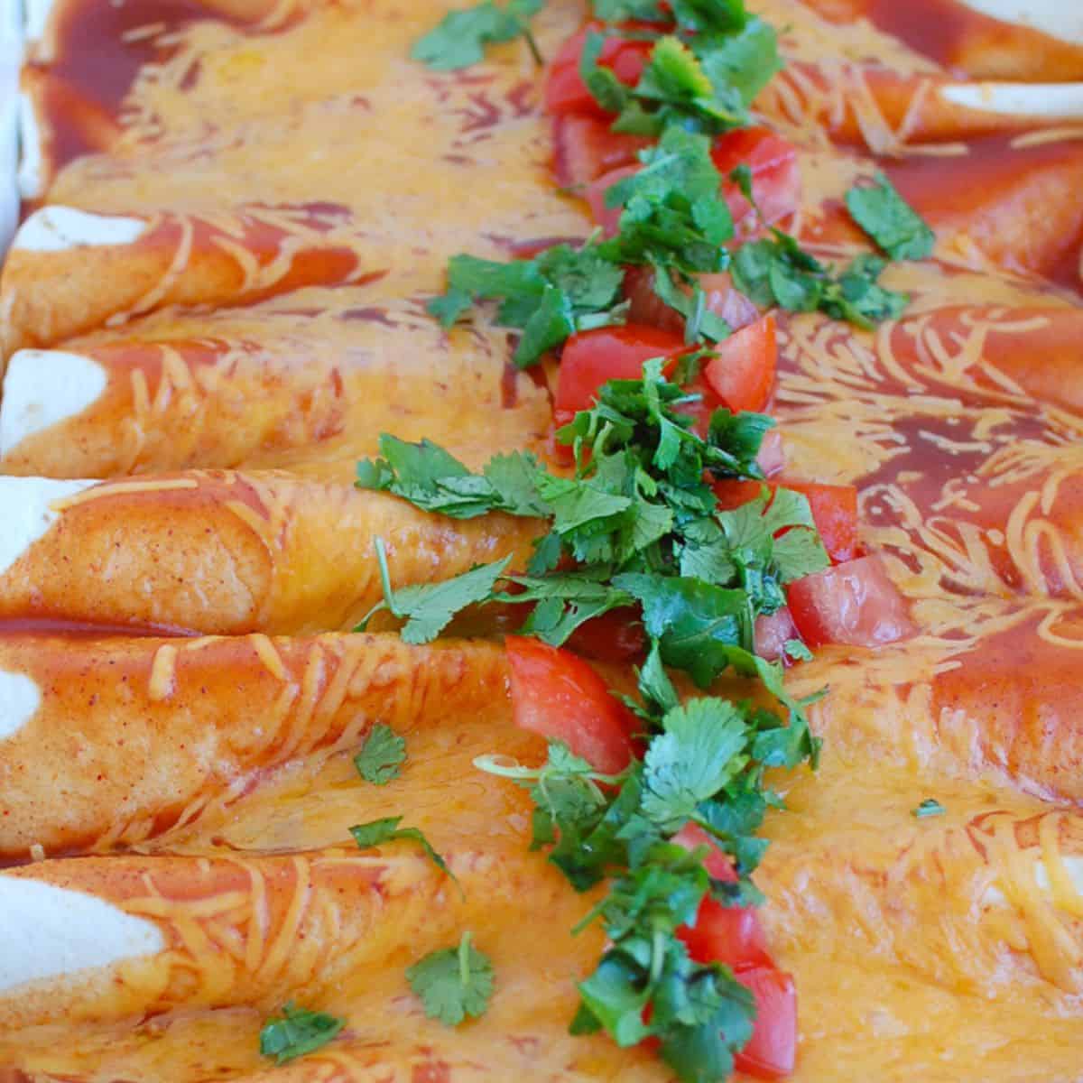 Easy Chicken Enchiladas