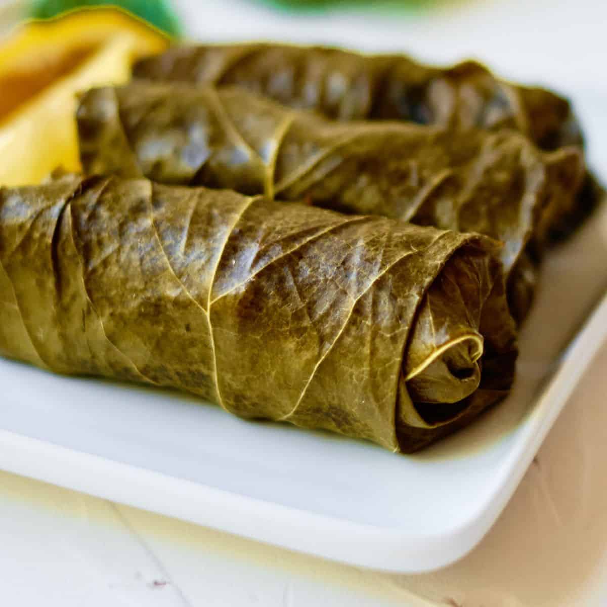 Easy Stuffed Grape Leaves