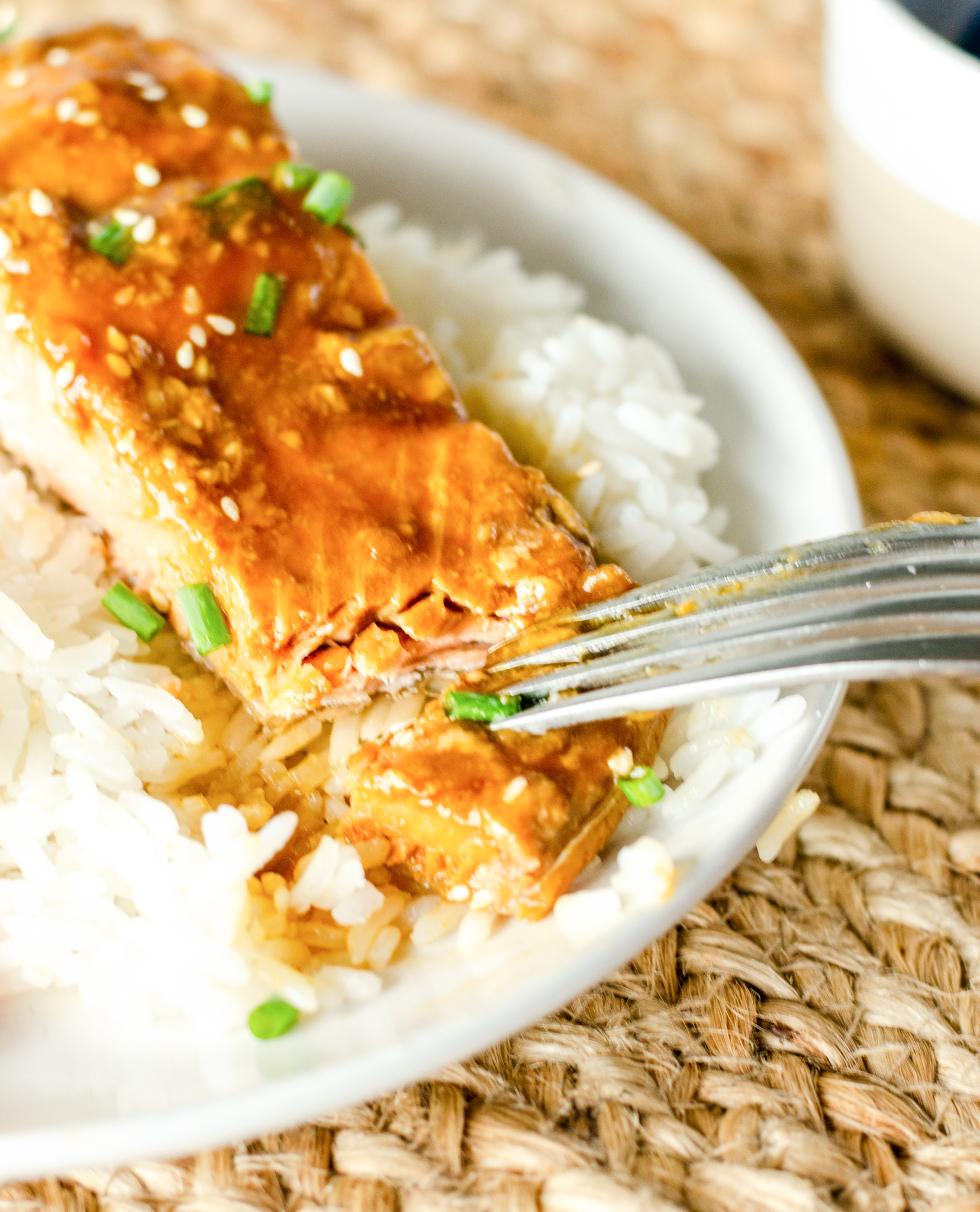 Teriyaki Salmon Recipe