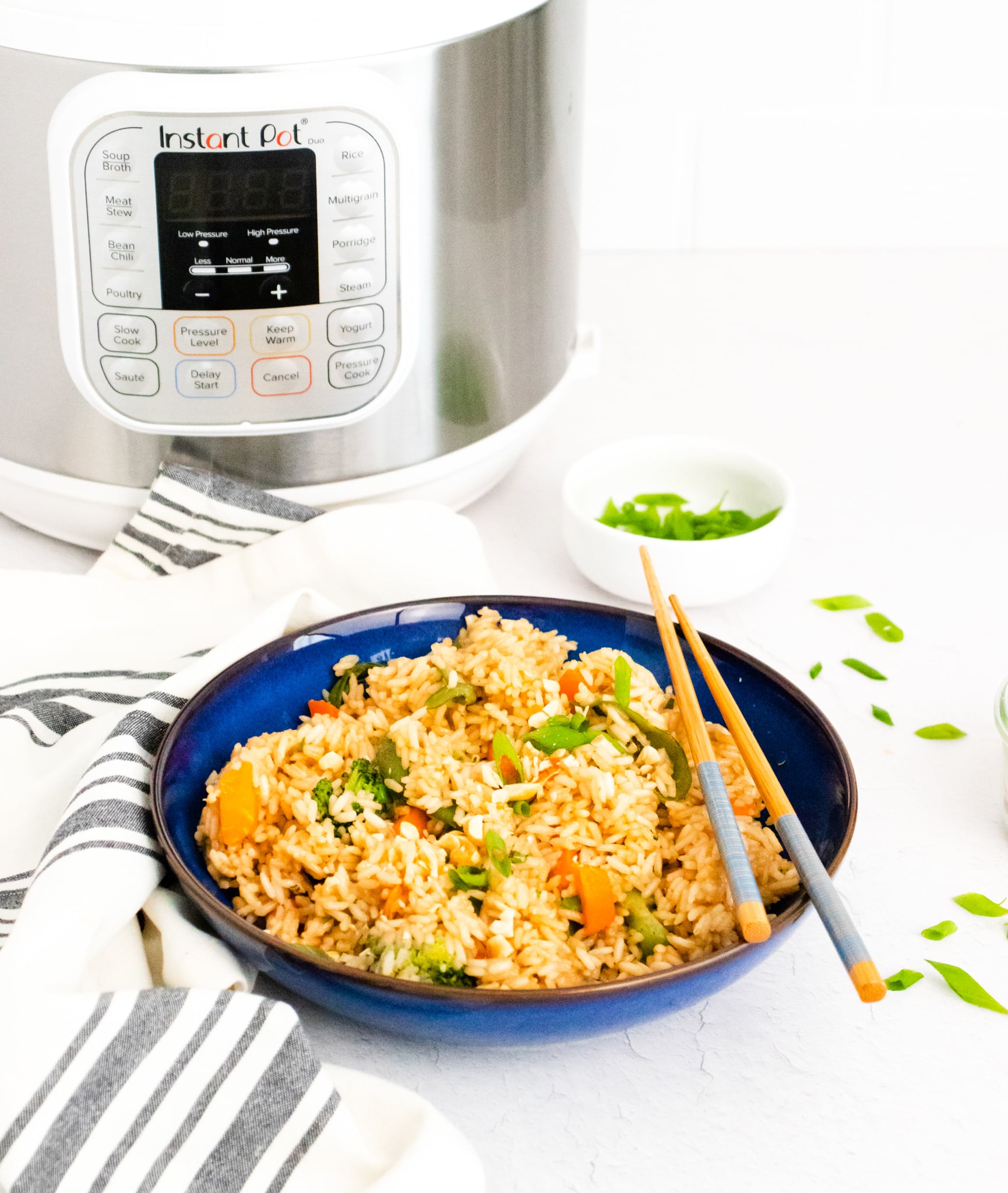 Instant Pot Fried Rice