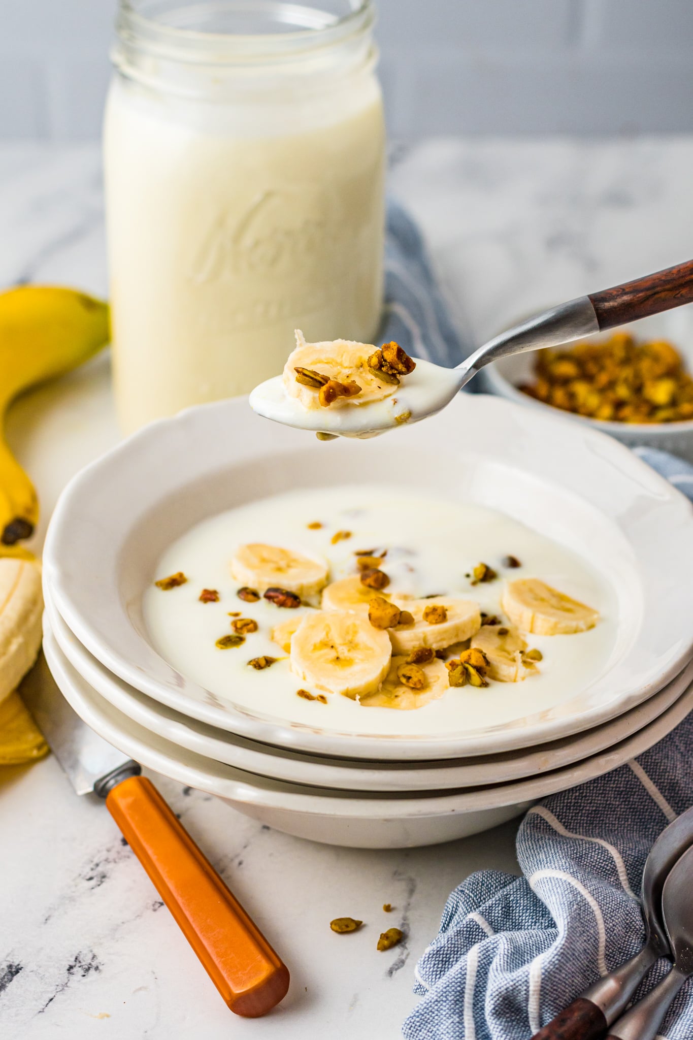 Instant Pot Yogurt Recipe