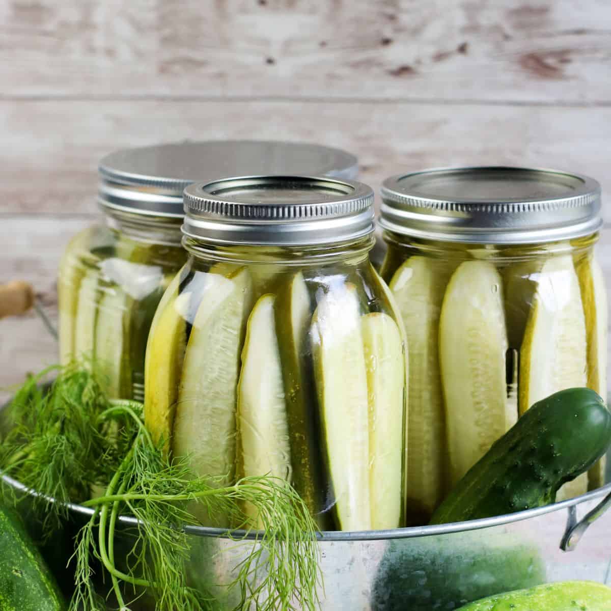 Refrigerator Dill Pickles
