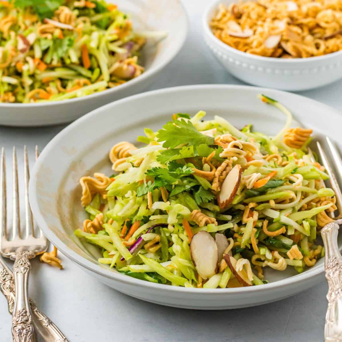 Broccoli Slaw Recipe