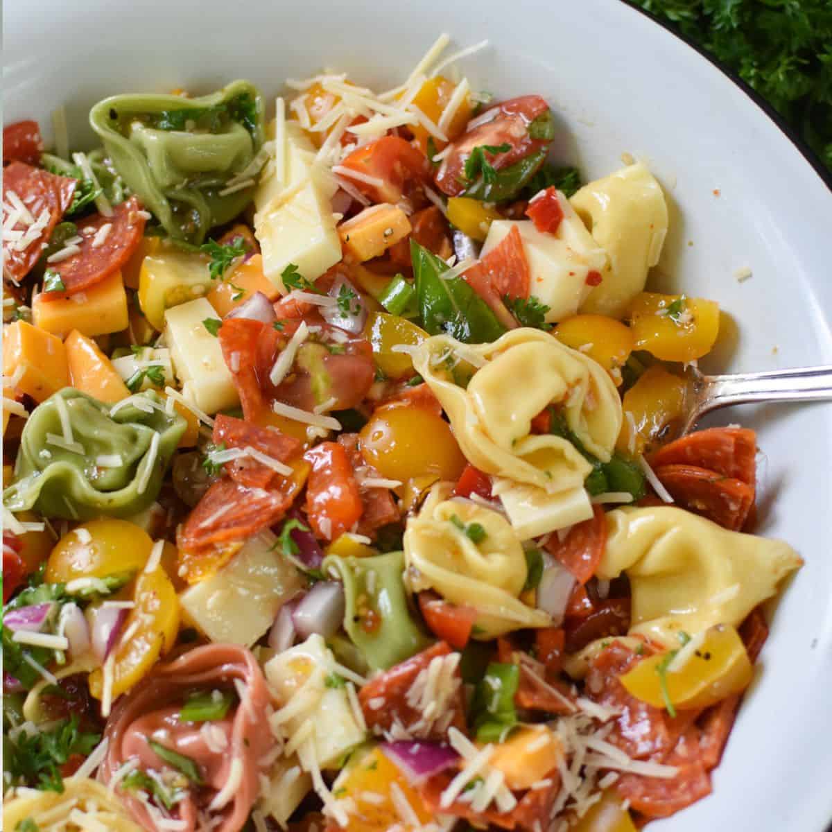 Easy Italian Tortellini Pasta Salad