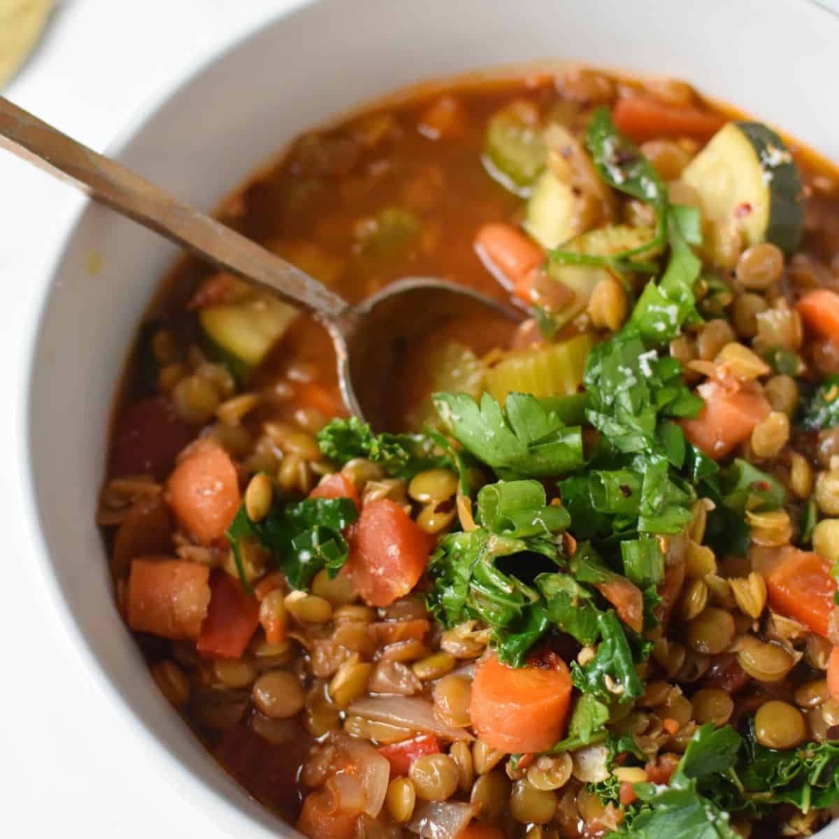 Italian Style Lentil Soup
