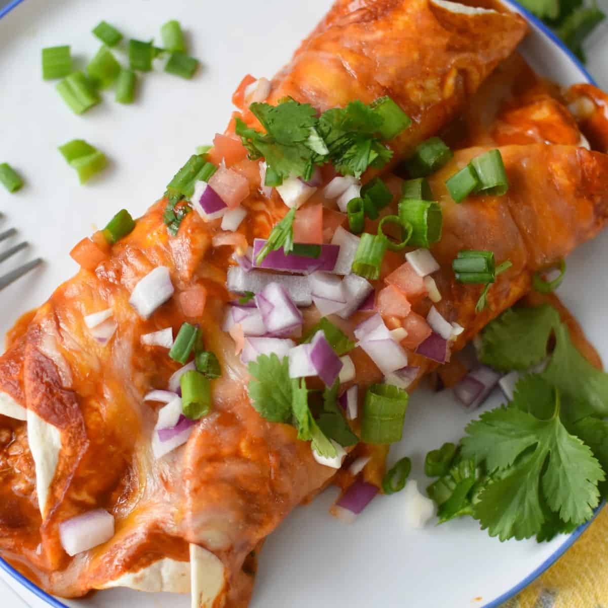 Quick and Easy Pork Enchilada Recipe