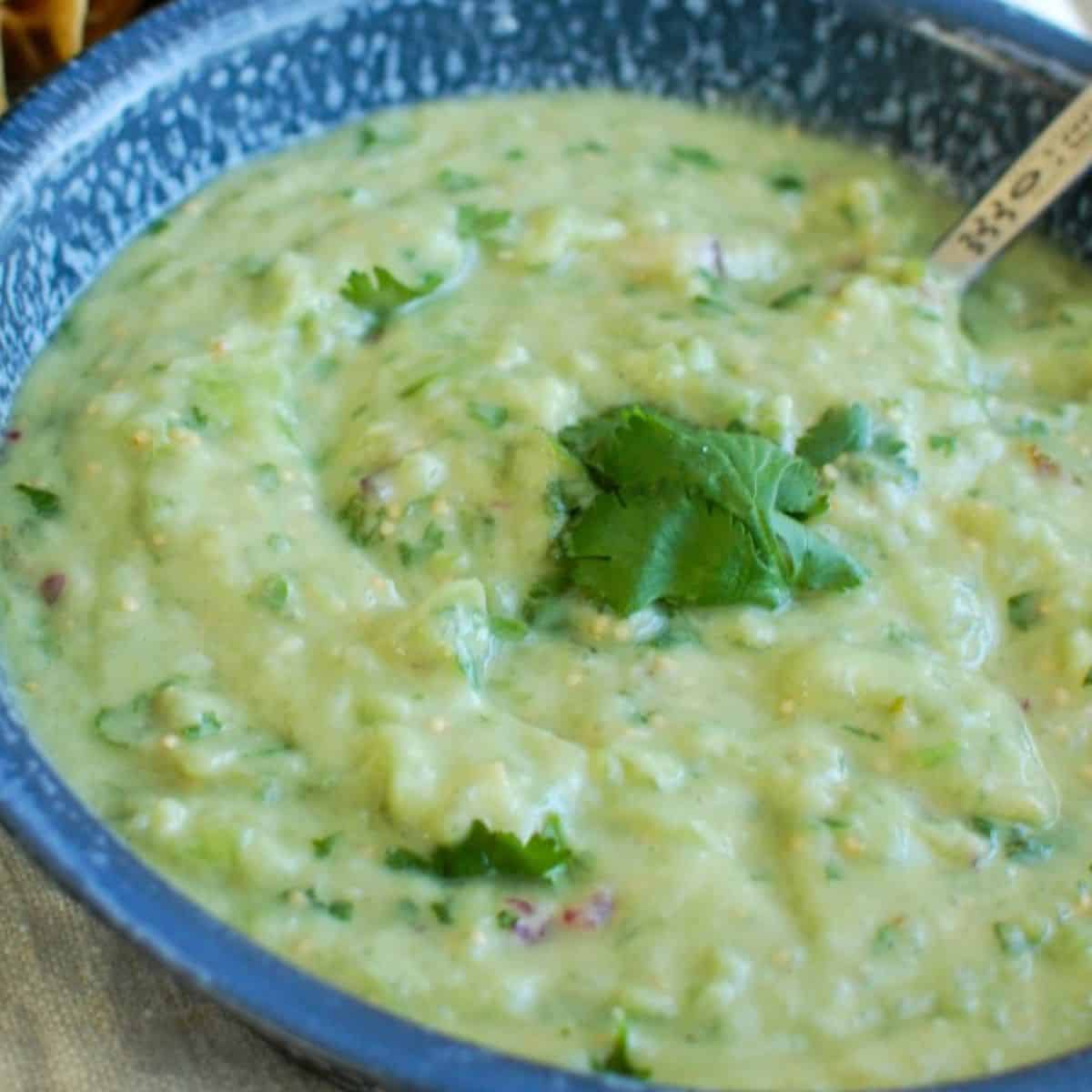 Avocado Tomatillo Salsa