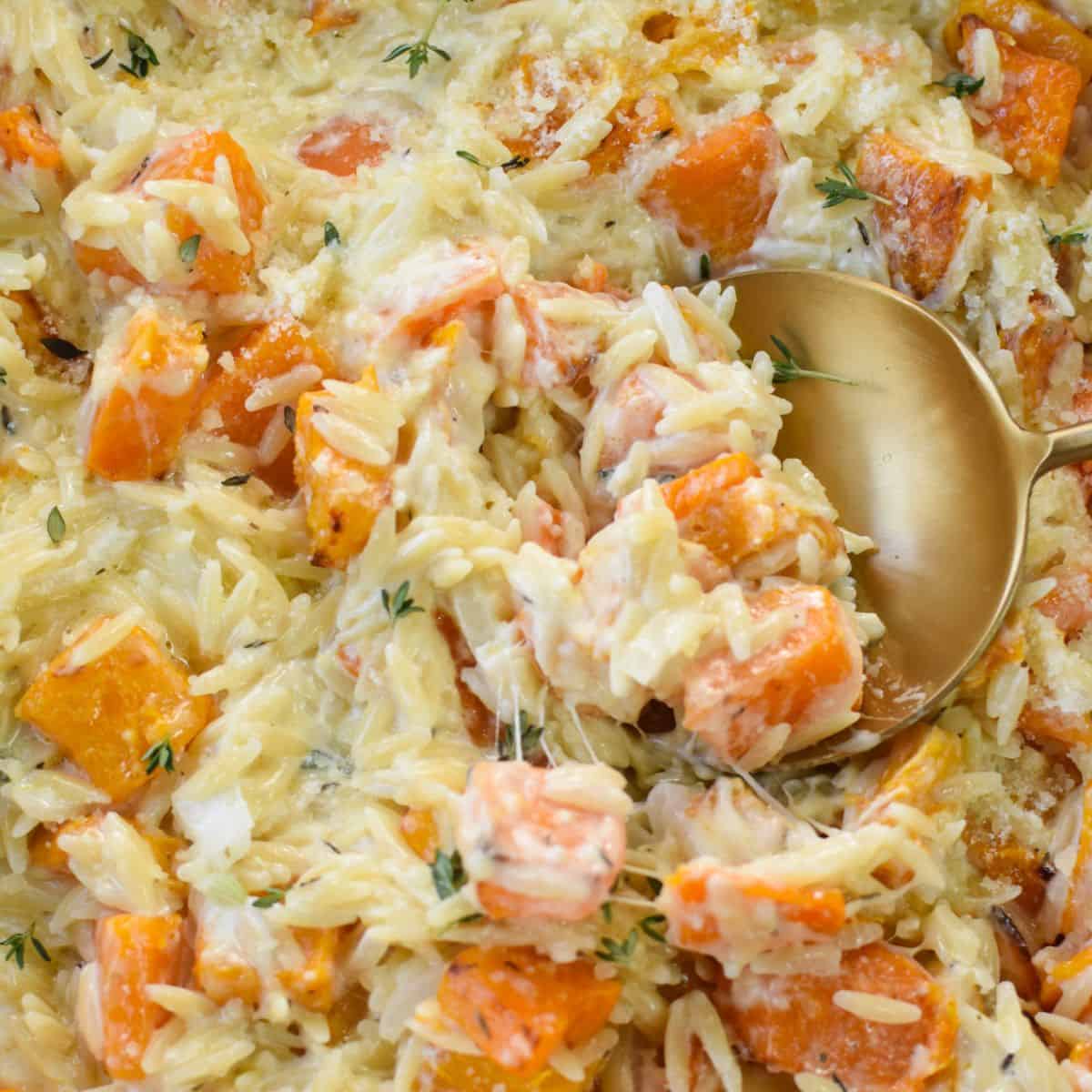 Cheesy Butternut Squash Orzo