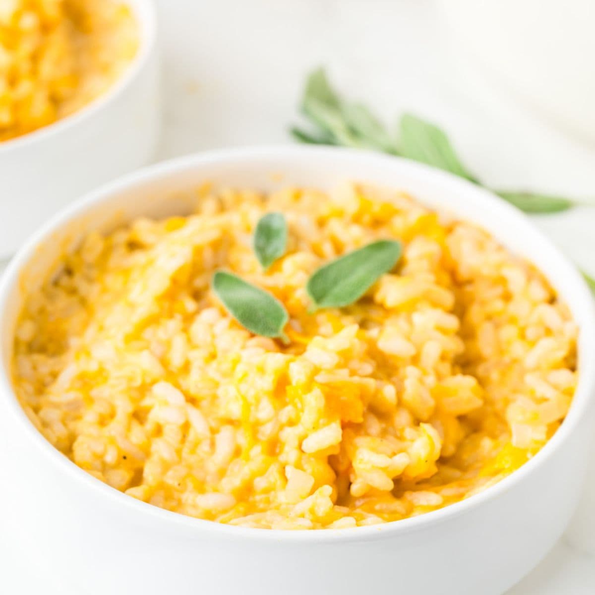 Butternut Squash Sage Risotto