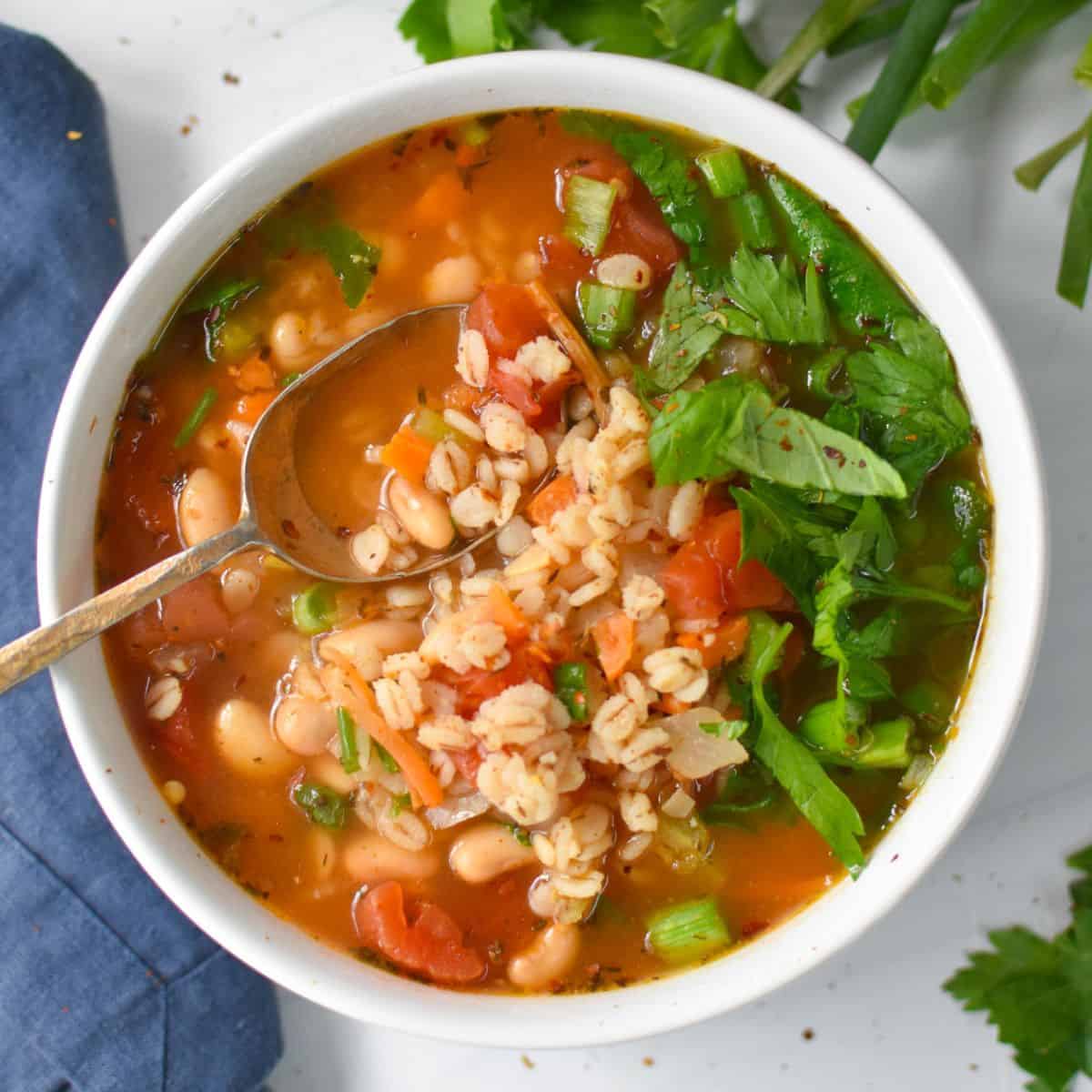 Vegetable Barley Soup