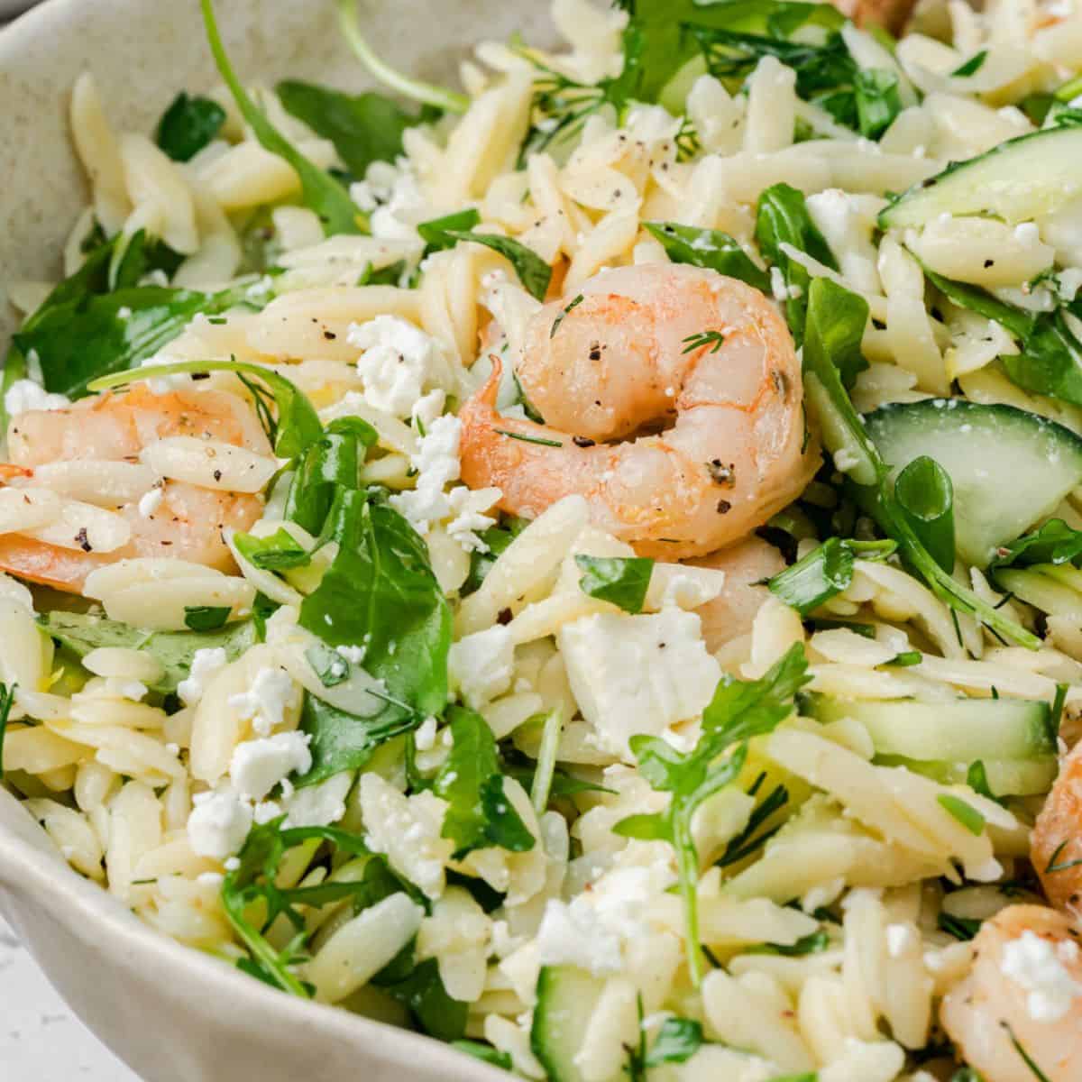 Shrimp Orzo Pasta Salad